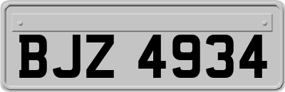 BJZ4934