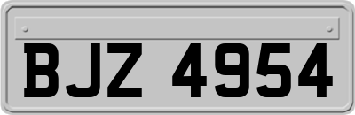 BJZ4954