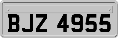 BJZ4955
