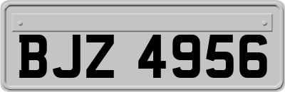 BJZ4956