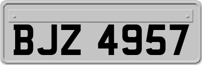 BJZ4957