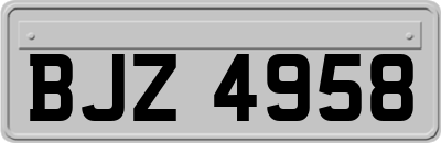BJZ4958