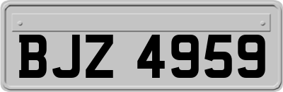 BJZ4959