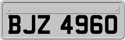 BJZ4960