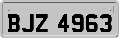 BJZ4963