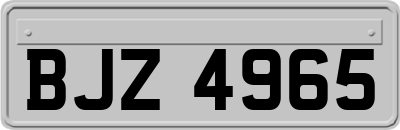 BJZ4965