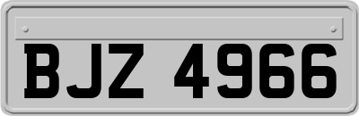 BJZ4966