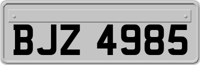 BJZ4985