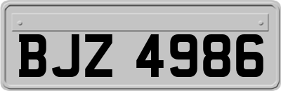 BJZ4986