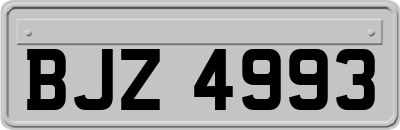 BJZ4993