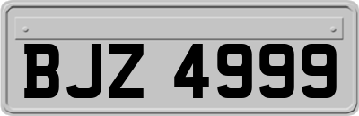 BJZ4999