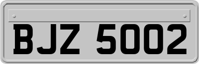 BJZ5002