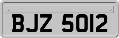BJZ5012