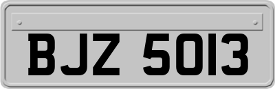 BJZ5013