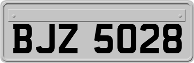 BJZ5028