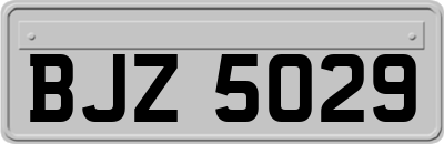BJZ5029