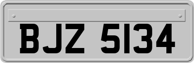 BJZ5134