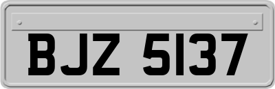 BJZ5137