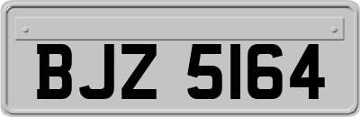 BJZ5164