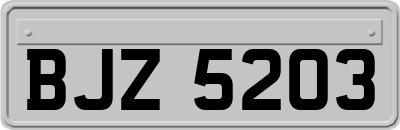 BJZ5203