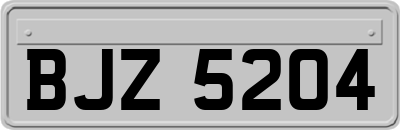 BJZ5204