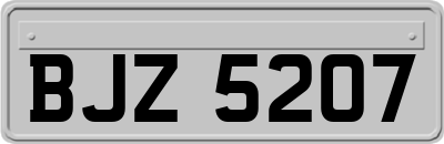 BJZ5207