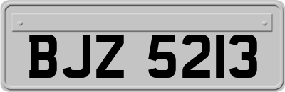 BJZ5213