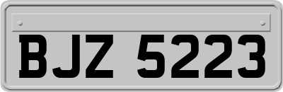 BJZ5223