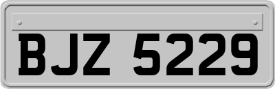 BJZ5229