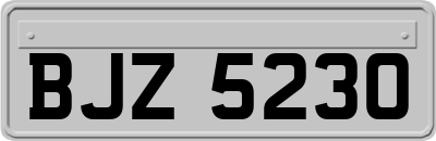 BJZ5230