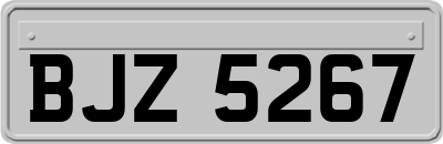 BJZ5267