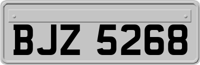 BJZ5268