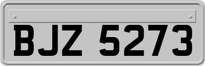 BJZ5273