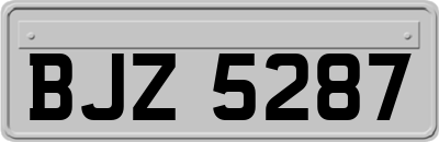 BJZ5287