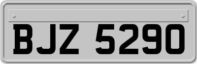 BJZ5290