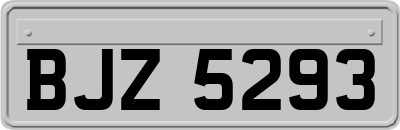 BJZ5293