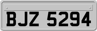 BJZ5294