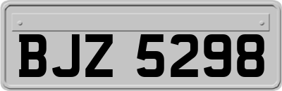 BJZ5298