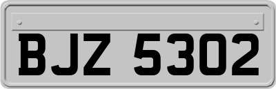 BJZ5302