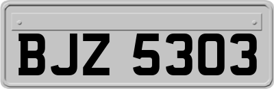 BJZ5303