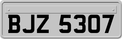 BJZ5307