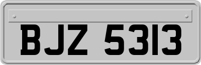 BJZ5313
