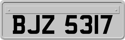 BJZ5317