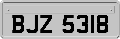 BJZ5318