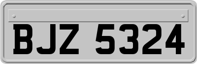 BJZ5324