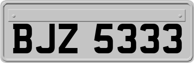 BJZ5333