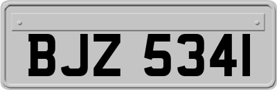 BJZ5341