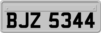 BJZ5344