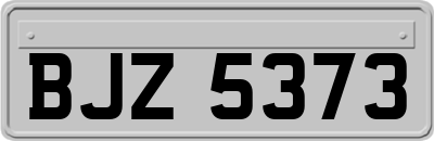 BJZ5373
