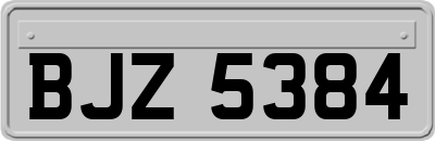BJZ5384